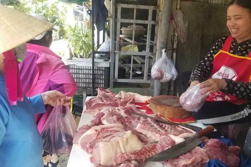 Khẩn cấp ngăn chặn dịch tả heo châu Phi lan rộng: Phải dập dịch nhanh nhất có thể