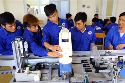 Ít nhất 20% người học từ 15-25 tuổi theo học giáo dục nghề nghiệp