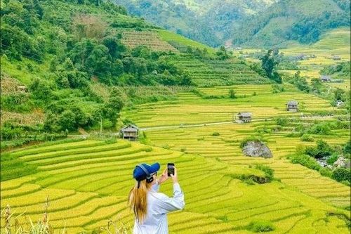 Ngắm mùa vàng trên ruộng bậc thang Nậm Cang, chọn tour hay đi tự túc?