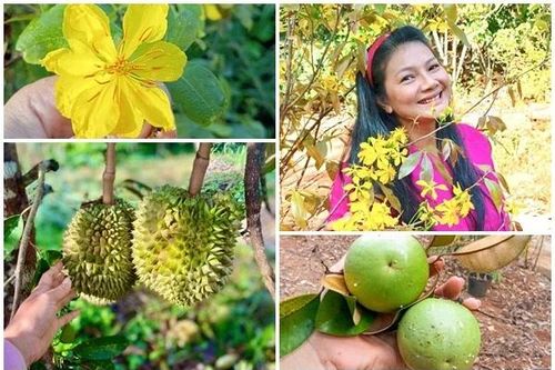Nhà vườn 6.000m2 lúc lỉu trái cây của 'nữ hoàng cảnh nóng' Kiều Trinh