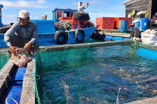 Bãi bỏ hoàn toàn nhiều thủ tục hành chính về nông nghiệp và môi trường