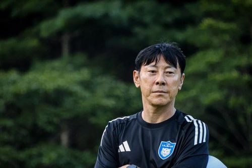 HLV Shin Tae-yong từ chức phó Chủ tịch LĐBĐ Hàn Quốc