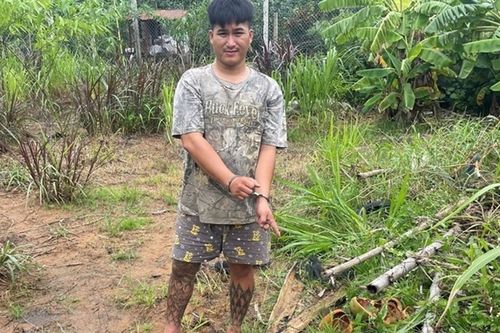 Khởi tố bị can đầu tiên ở Lâm Đồng tội sử dụng trái phép ma túy theo quy định mới