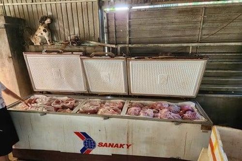 Phát hiện gần 1 tấn thịt lợn nhiễm bệnh được cất giấu trong nhà dân ở Nghệ An