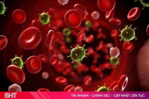 Những điều cần biết về nhiễm khuẩn do Vibrio parahaemolyticus