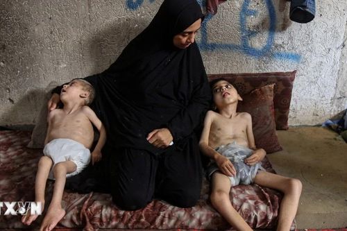 Slovenia cấm nhập hàng hóa từ các vùng định cư ở Palestine