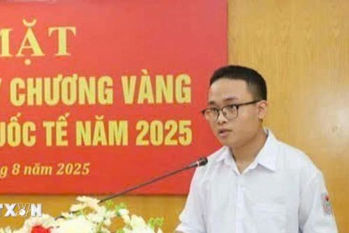 Hai lần mang vinh quang cho Việt Nam trên đấu trường Olympic Toán học Quốc tế