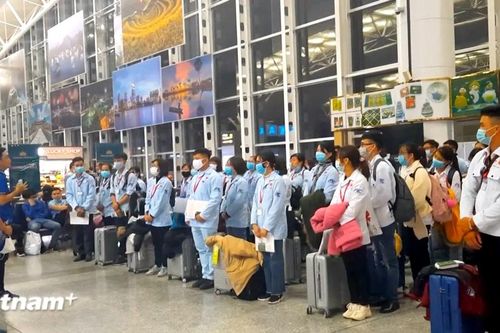 Hơn 85.700 lao động Việt Nam đi làm việc ở nước ngoài trong 7 tháng