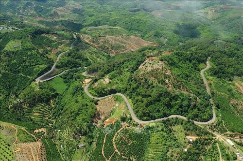 Kiến nghị nâng cấp đường, rút ngắn khoảng cách từ Gia Nghĩa sang Đà Lạt
