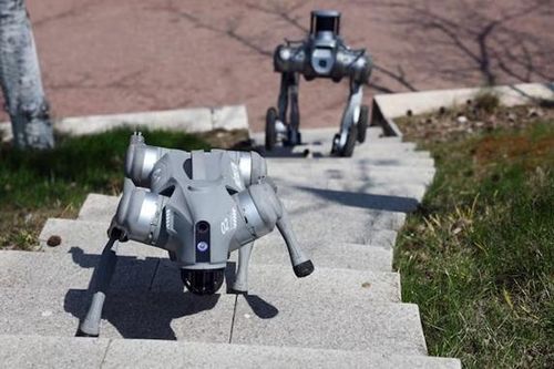 Trí tuệ nhân tạo: Trung Quốc thúc đẩy thương mại hóa robot