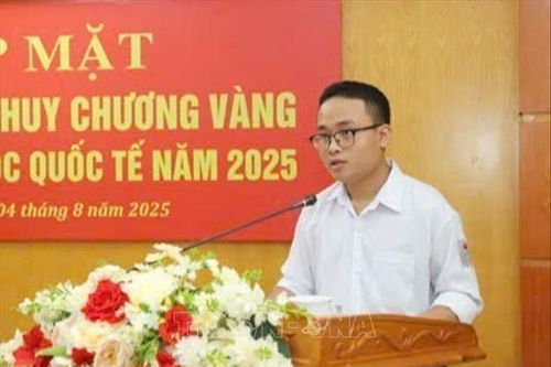 Hai lần mang vinh quang cho Việt Nam trên đấu trường Olympic Toán học Quốc tế