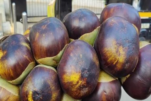 Loại cây ở Việt Nam trồng bạt ngàn, sang 'trời tây' có giá 2,5 triệu đồng/ 4 quả