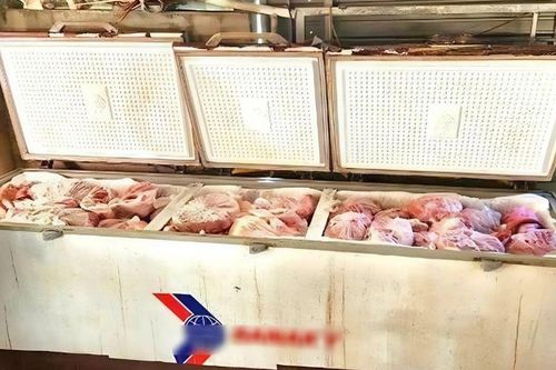 Phát hiện gần 1 tấn thịt heo nhiễm bệnh được cấp đông tại một hộ dân ở Nghệ An