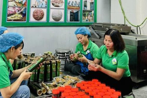 Phụ nữ dân tộc thiểu số và miền núi nâng tầm hương vị núi rừng qua từng sản phẩm