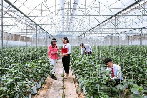 Agribank gieo dòng vốn xanh, mở lối tăng trưởng bền vững