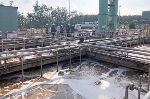 Cắt giảm, đơn giản hóa nhiều thủ tục sản xuất, đầu tư kinh doanh lĩnh vực nông nghiệp và môi trường