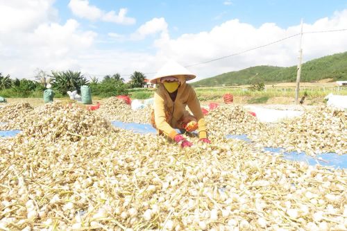 Chào mừng Đại hội đại biểu Đảng bộ xã Vạn Hưng lần thứ nhất, nhiệm kỳ 2025 - 2030: Phát huy lợi thế, đẩy mạnh phát triển công nghiệp, du lịch