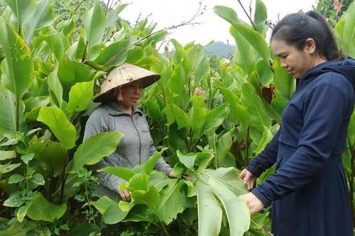 Hội viên phụ nữ tiêu biểu