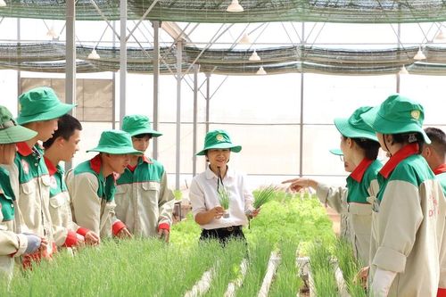 Nâng tầm lao động, đáp ứng nhiệm vụ phát triển
