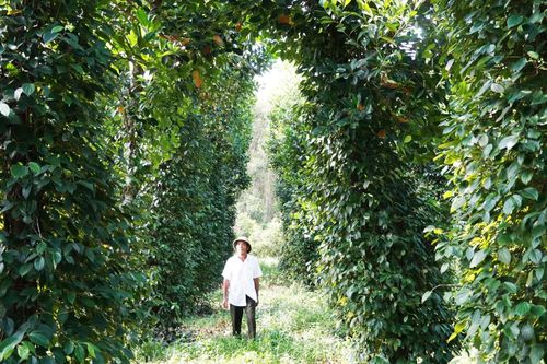 Hành trình đi tìm 'cái mới' của một tỉ phú nông dân