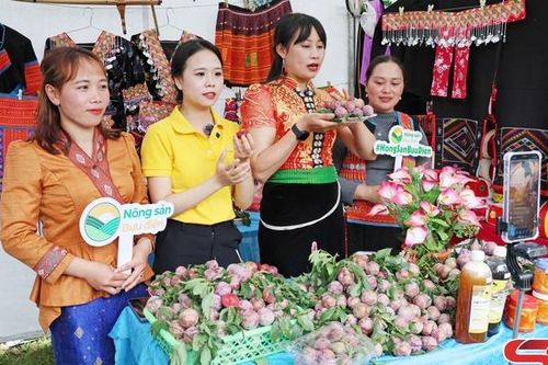 Nhiều giải pháp kết nối tiêu thụ nông sản