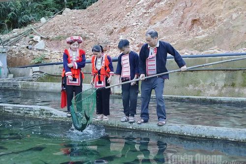 Thủ phủ cá Tầm giữa non cao