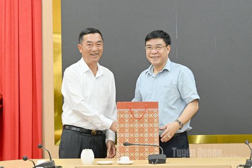 Phó Chủ tịch UBND tỉnh Hoàng Gia Long tiếp, làm việc với Đoàn công tác Tổng lãnh sự quán Việt Nam tại Côn Minh, Trung Quốc