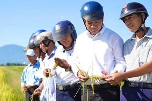 Kinh tế chuyển dịch đúng hướng