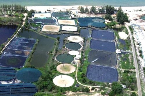 Vụ bồi thường '0 đồng' về đất tại Dự án KCN Sơn Mỹ I: Tổ chức đối thoại, thẩm định tại chỗ