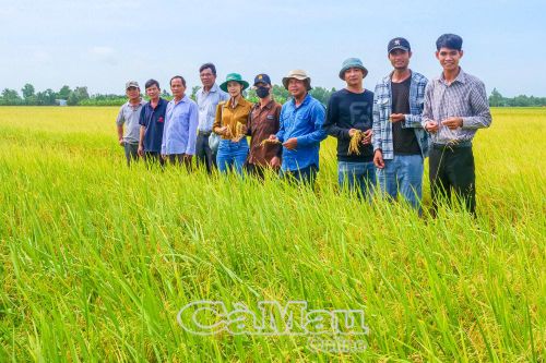 Nông nghiệp phát huy vai trò 'trụ đỡ' tăng trưởng kinh tế