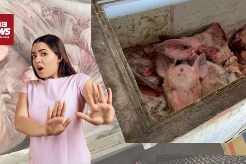 Rùng mình sau tủ đông: 2 tấn thịt lợn bệnh suýt lọt qua cửa kiểm dịch