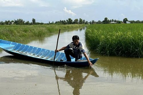 Nâng cao giá trị cho 'lúa thơm, tôm sạch'