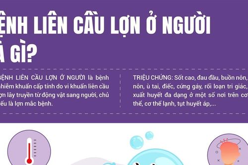 Bệnh liên cầu lợn: Nguy hiểm, nhưng có thể phòng ngừa