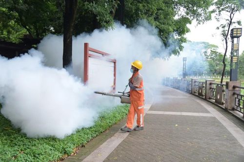 Virus chikungunya gây lo ngại ở Trung Quốc