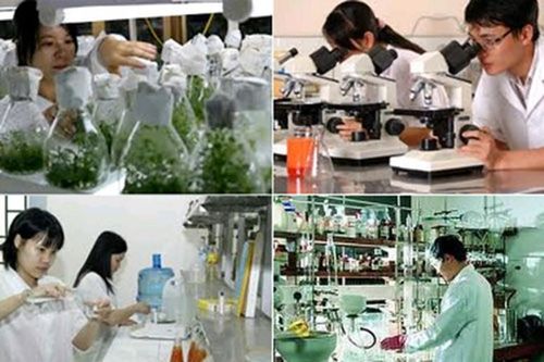 Điều kiện thành lập tổ chức khoa học và công nghệ