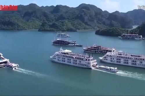 Lắp đặt thiết bị thông tin liên lạc AIS trên tất cả tàu du lịch tại Vịnh Hạ Long