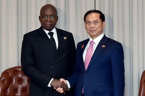 Cụ thể hóa các hoạt động, chương trình hợp tác ưu tiên giữa Việt Nam và Angola