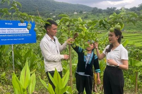 Giúp thanh niên dân tộc thiểu số vùng khó vươn lên