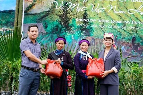 Chung tay trồng cây, phát triển sinh kế bền vững