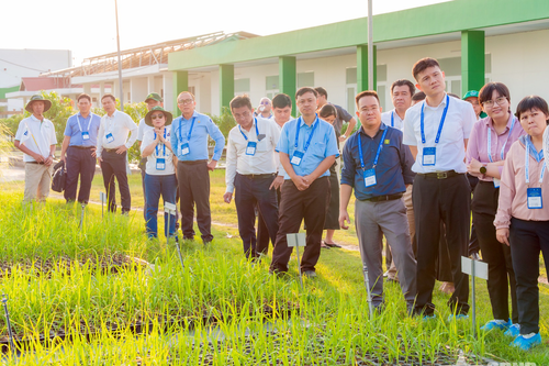 Kết nối '5 nhà' thúc đẩy nông nghiệp phát triển bền vững