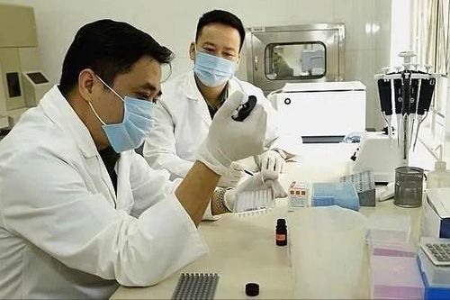 Tổ chức ngoài công lập dự kiến được cấp phép giám định ADN