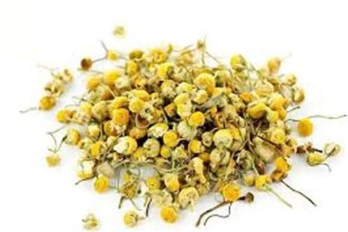 Thu hồi lô dược liệu Cúc hoa vàng của Hợp tác xã dược liệu Ninh Hiệp