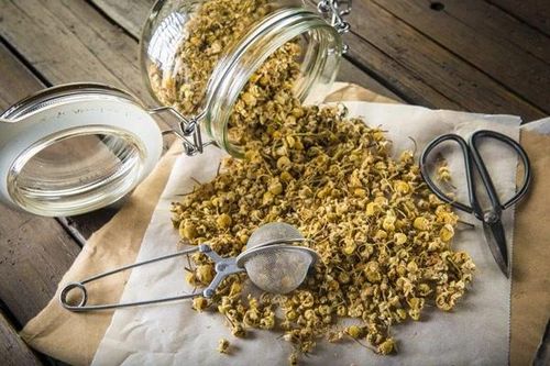 Thu hồi lô dược liệu Cúc hoa vàng do Đông Dược Dân Lợi nhập khẩu