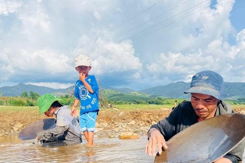 Quảng Ngãi: Người dân đánh cược mạng sống, đổ xô ra sông Pô Kô đãi cát, tìm vàng