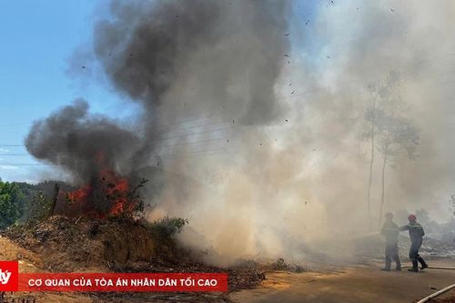 Khống chế kịp thời vụ cháy gần Trung tâm hỏa táng