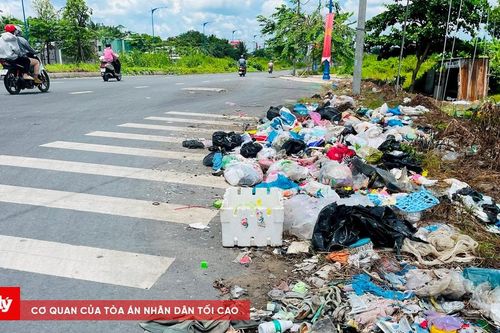 Cần Thơ: Cần mạnh tay với tình trạng vứt rác bừa bãi