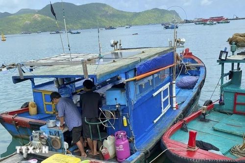 Thành phố Hồ Chí Minh: Phát hiện tàu cá tàng trữ chất độc xyanua