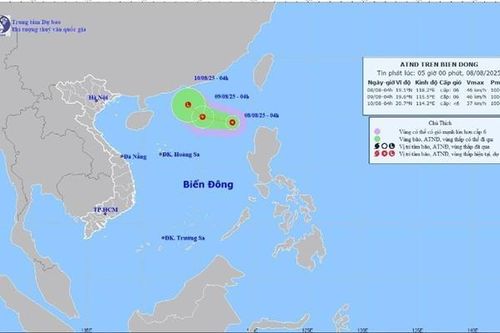 Các tỉnh, thành phố từ Quảng Ninh đến Đắk Lắk chủ động ứng phó với áp thấp nhiệt đới