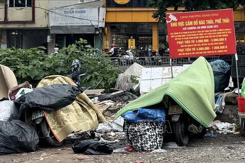 Hà Nội yêu cầu lắp đặt camera giám sát khu vực 'điểm đen' về rác thải