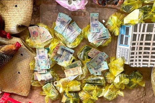 Triệt phá trường gà quy mô lớn, tạm giữ 51 đối tượng